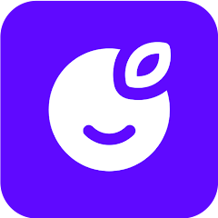 Woolsocks Logo